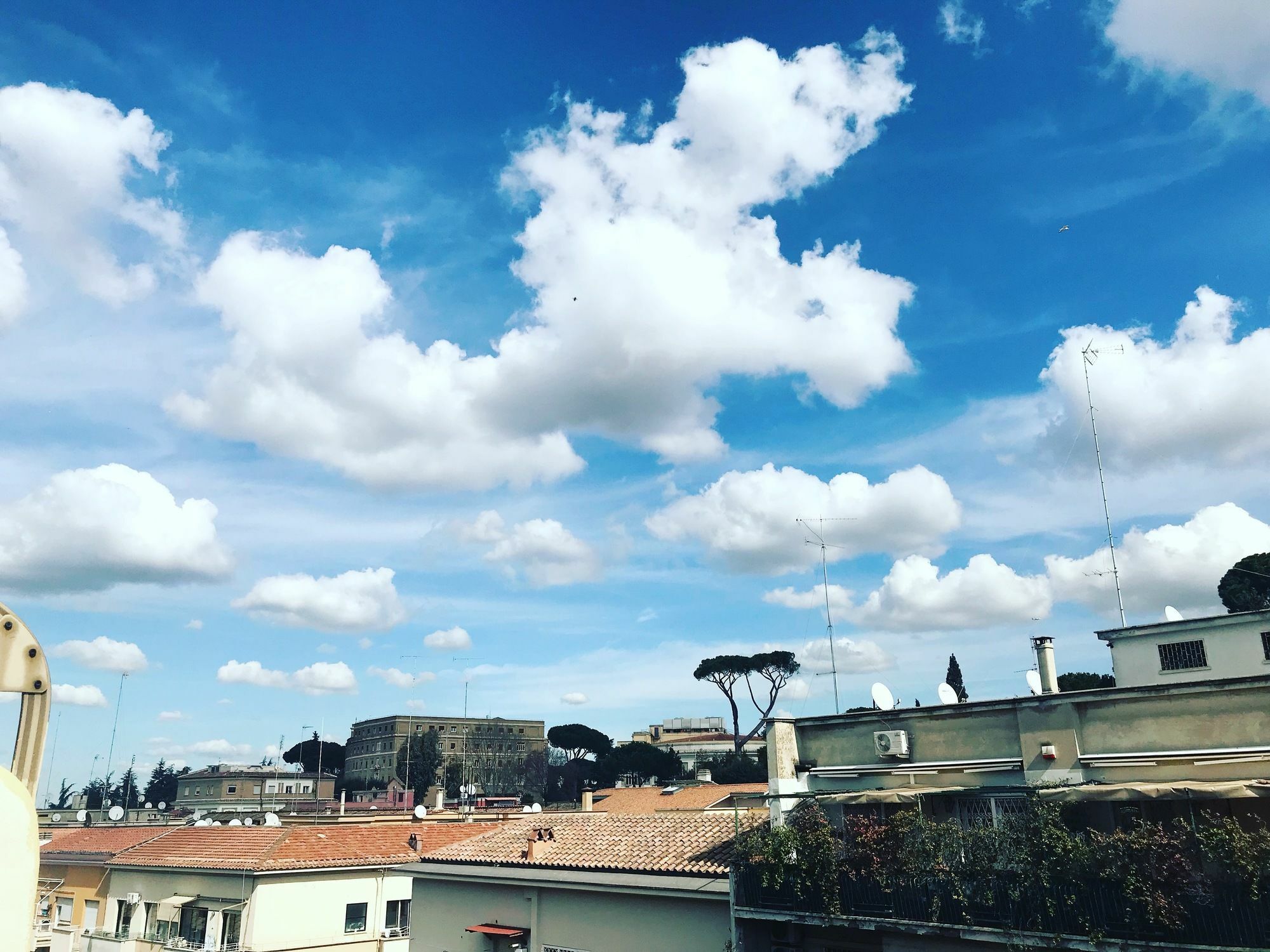 Charming Vatican Rome